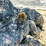 Profile Picture of Ernesto Enriquez (@enriquezfernandez88) on Instagram