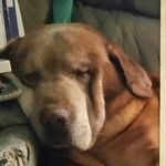 Profile Picture of Julie McMichael (@jamcmich) on Instagram