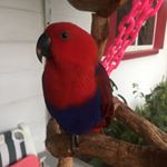 Profile Picture of Keith Rosdahl (@rosdahlkeith) on Instagram