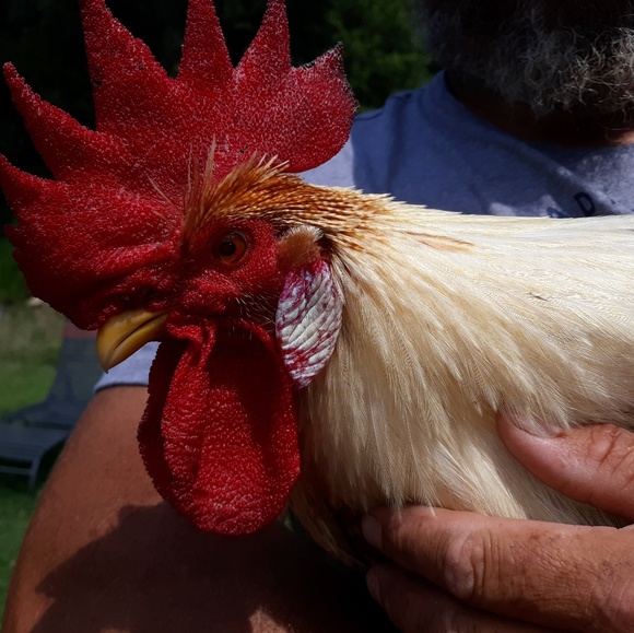 Profile Picture of Angela Threadgill (@athreadgill17) on Poshmark