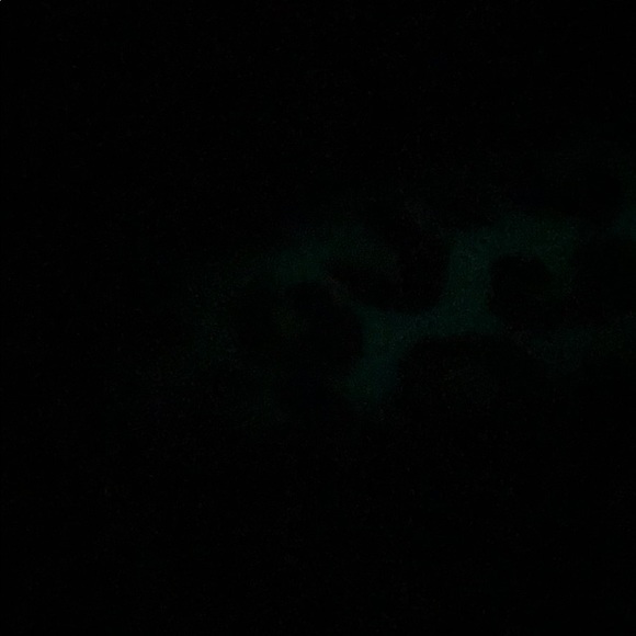 Profile Picture of Chloe Batchelor (@clobitchelor) on Poshmark