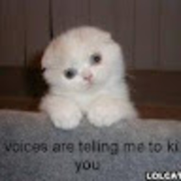 Profile Picture of Vivian Omeasoo (@str8kitty) on Poshmark