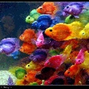 Profile Picture of Lori Westhoff (@358107721) on Myspace