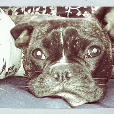 Profile Picture of Jason Termini (@9ital2ian5) on Twitter