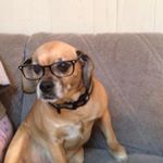 Profile Picture of Stephanie Colletti (@stephcolletti) on Instagram