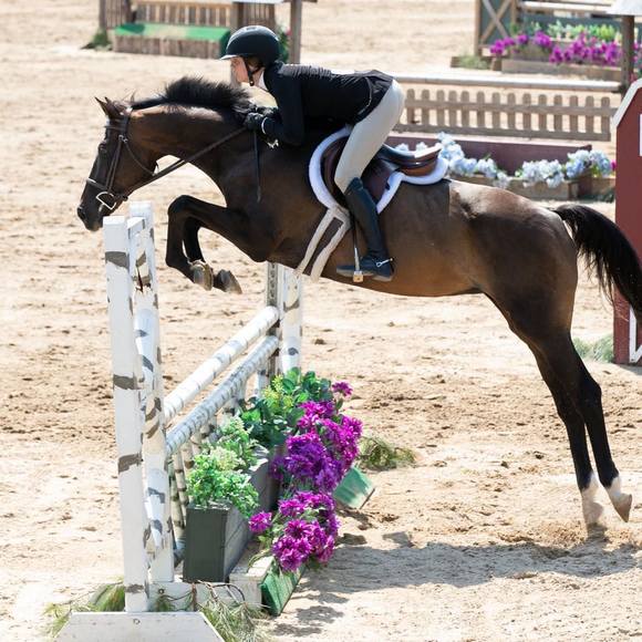 Profile Picture of Reilly Poitevent (@rmpoitevent) on Poshmark