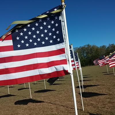 Profile Picture of Laura Daniel (@ldaniel382) on Twitter