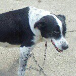 Profile Picture of brian kiger (@briankiger) on Instagram