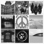 Profile Picture of Lisa Pedracine Eddins (@lisa.eddins) on Instagram