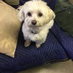 Profile Picture of Jim Valley (@jim.valley) on Instagram