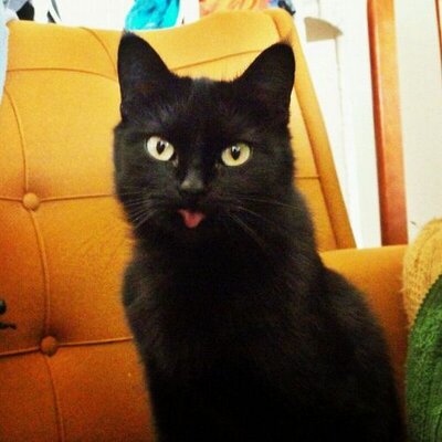 Profile Picture of Antonio José Ayuso (@Ayuso_AJ) on Twitter