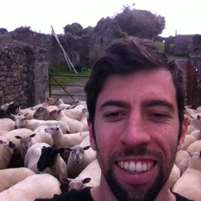 Profile Picture of Michael Harte (@Dr_Mickalicious) on Twitter