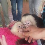 Profile Picture of Steven Pflughaupt (@fourteenkill1) on Instagram