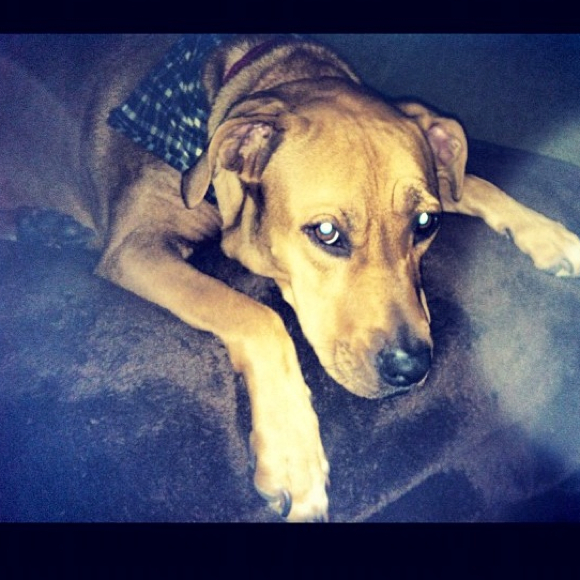 Profile Picture of Erica Zepko (@zepko) on Poshmark