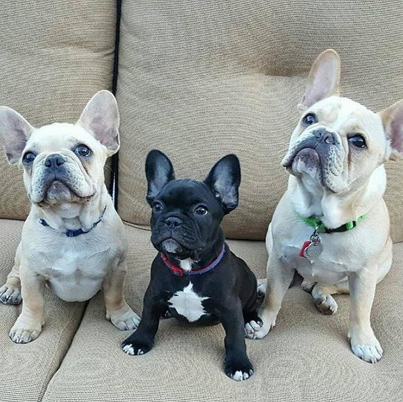 Profile Picture of Renee Freeman (@freemanrj) on Poshmark