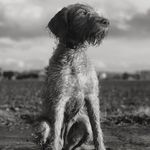 Profile Picture of Debbie McKenna (@whv_enza_bindi) on Instagram