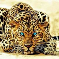 Profile Picture of Nona Aldhahi (@nona-aldhahi) on Quora