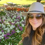 Profile Picture of Brooke Fitzpatrick (@our_suburban_patch) on Instagram