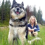 Profile Picture of Clarissa Cutrell (@godotgirl) on Instagram