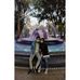 Profile Picture of Jacqueline Aleman (@jacqueline.aleman.7967) on Facebook