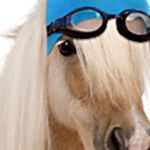 Profile Picture of Jerome Donnier Valentin (@donniervalentin) on Instagram