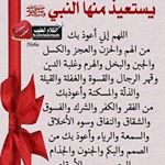 Profile Picture of Leila Rachid (@layouladavid) on Instagram