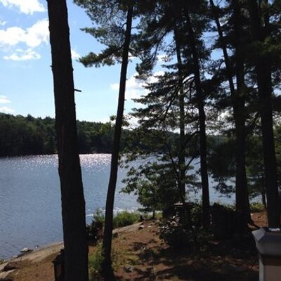 Profile Picture of Laurel Franks (@laurel_franks) on Twitter