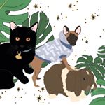 Profile Picture of William, Harvey Tangie, & Rue (@_we_bought_a_zoo) on Instagram