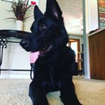 Profile Picture of Sigmund_Jacob_52 (@sigmund_jacob_52) on Instagram