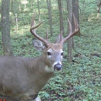 Profile Picture of Zachary Dunham (@zachary-dunham-4) on Quora