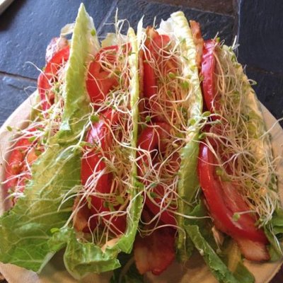 Dawn Hubbard - Twitter Profile Picture of Dawn Hubbard (@foodautoimundis) on Twitter