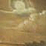 Profile Picture of Carlos Roque (@carlos1825) on Flickr