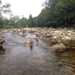 Profile Picture of Joellyn Nevins (@joellynnevins) on Instagram