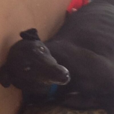 Profile Picture of Michael Wakeling (@michaelwakeling) on Twitter