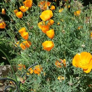 Profile Picture of Paula Duffey (@PaulaDuffey) on Twitter