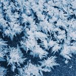 Profile Picture of Alexander Park (@parky0_0) on Instagram