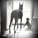 Profile Picture of Darin Grundeman (@darin.grundeman.7) on Facebook