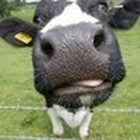 Profile Picture of Greg Blount (@greg-blount-13) on Quora