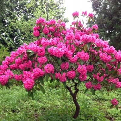 Eva Nielsen - Twitter Profile Picture of Eva Nielsen (@eva4622) on Twitter