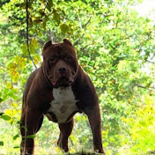 Adarrien Rosvanis - Youtube Profile Picture of Adarrien Rosvanis (@adarrienrosvanis7974) on Youtube