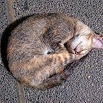 Profile Picture of ted_jenkins (@ted_jenkins) on Instagram