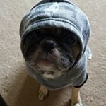 Profile Picture of Christopher Tumulty (@christophertumulty) on Instagram