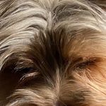 Profile Picture of Max Jiang (@_pingo_j) on Instagram