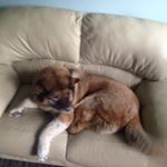 Keith kilburn - Instagram Profile Picture of Keith kilburn (@keithkilly) on Instagram