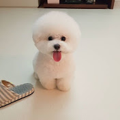 Profile Picture of Hye Lee (@hyelee6006) on Youtube