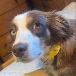 Profile Picture of Michele Reed Rakowski (@rakowski.chele) on Instagram