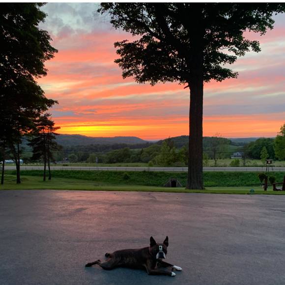 Profile Picture of Matt Freeman (@mattfreeman754) on Poshmark