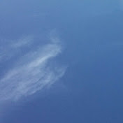 Tamara Tam - Youtube Profile Picture of Tamara Tam (@tamaratam8199) on Youtube