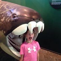 Profile Picture of Tim Boyle (@tim-boyle-25) on Quora