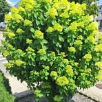 Profile Picture of Eugene Nault (@eugene.nault.3) on Facebook